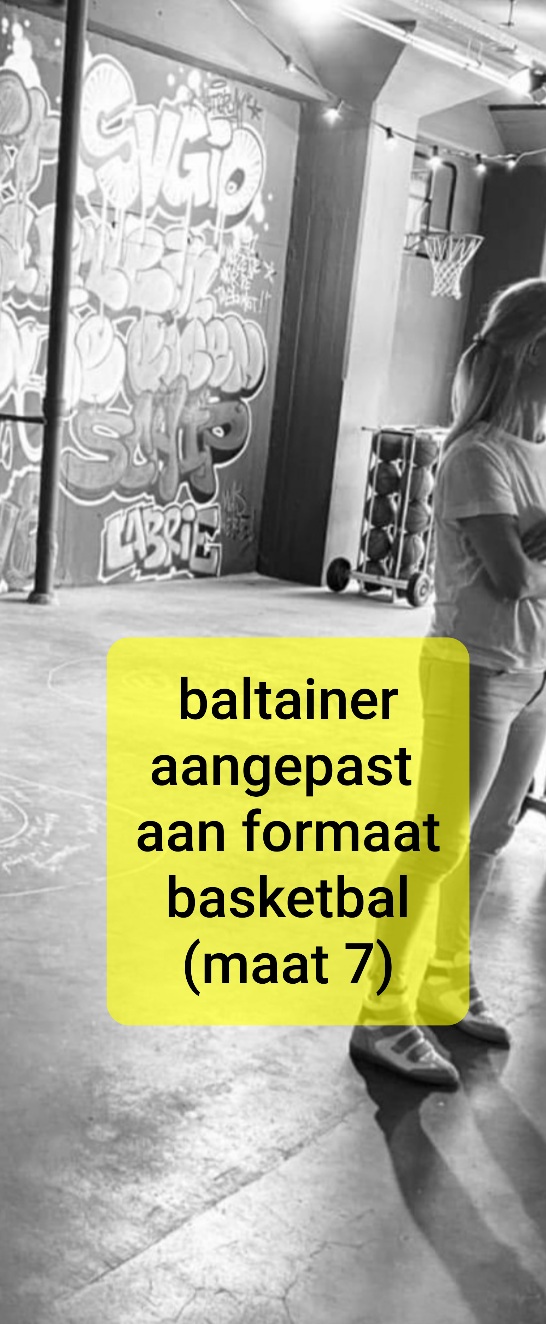 ballencontainer basketbal